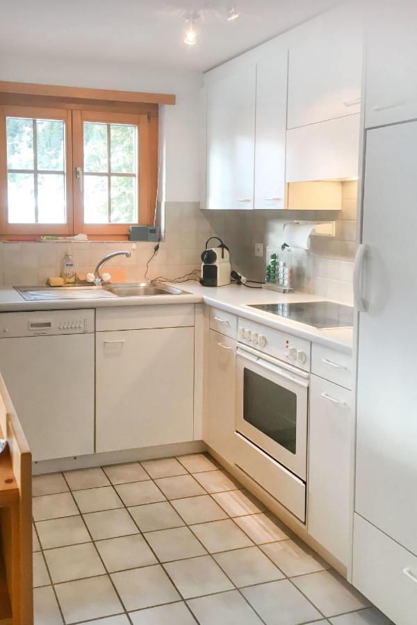 Apartment Haus Lotti Apt 203 By Interhome Schmitten  Esterno foto